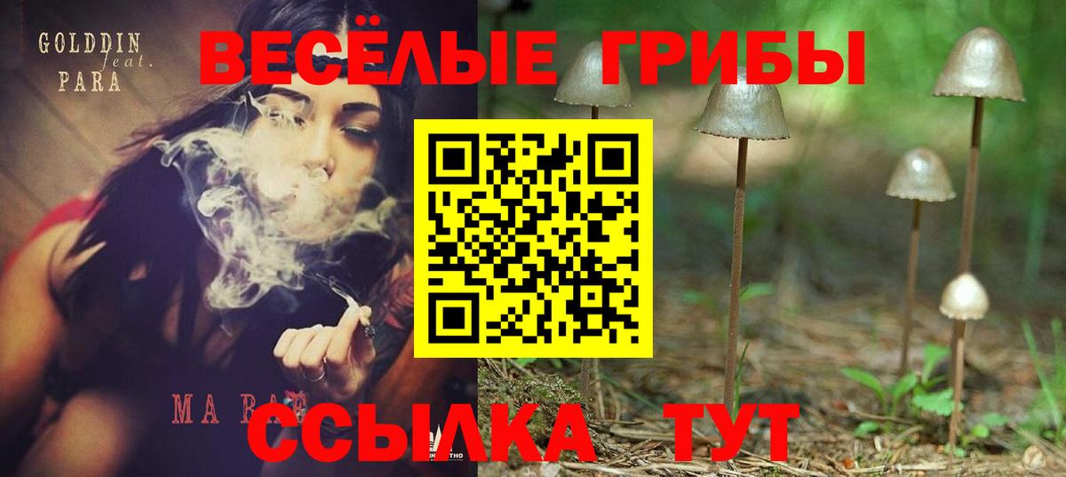 Галлюциногенные грибы мухоморы Учалы